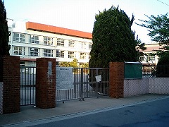 桜中学2(2006.5月上旬)