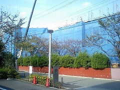 桜中学6(2006.10月下旬)