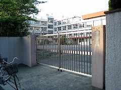 w3(2006.5{)