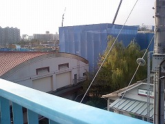 w4(2006.10{)