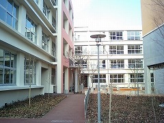 w7(2007.3{)