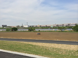 2014Nt̍ryE10